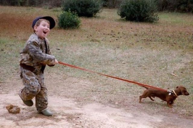 Прикольные картинки