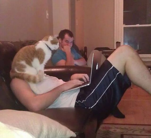 Прикольные картинки