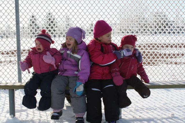 Прикольные картинки