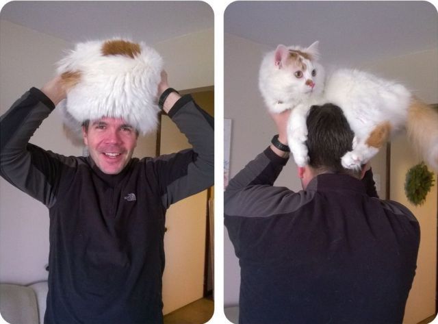 Прикольные картинки (93 фото)