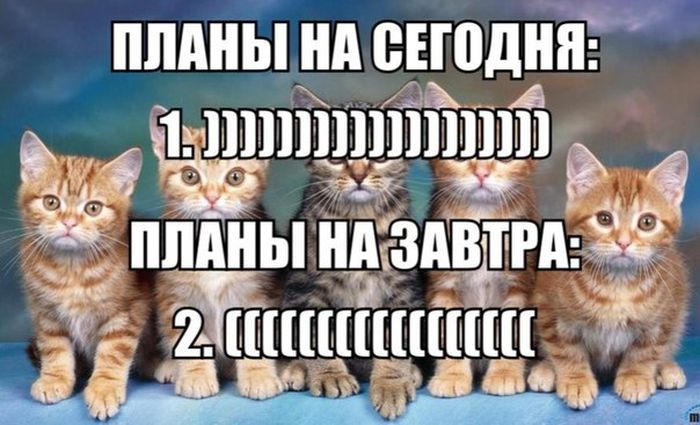 Прикольные картинки (93 фото)