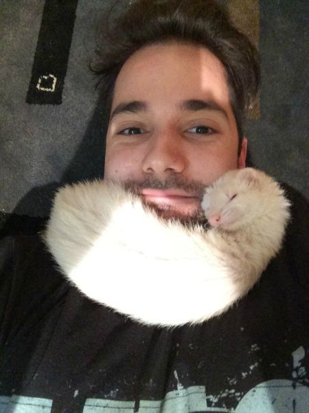 Прикольные картинки (93 фото)