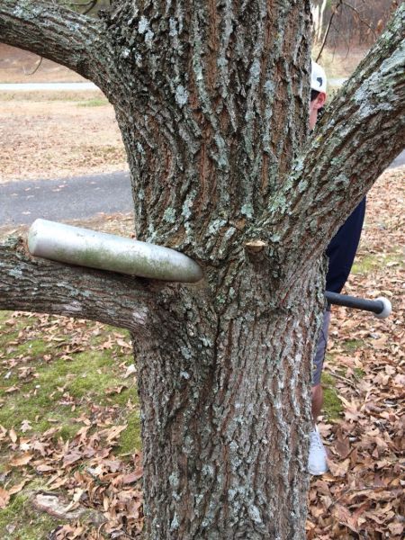 Прикольные картинки (93 фото)