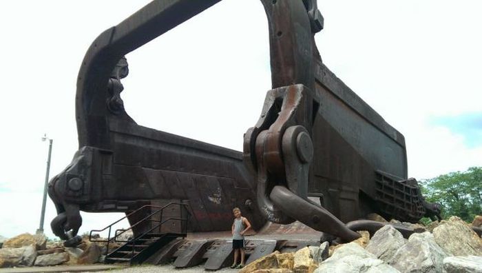 Прикольные картинки (93 фото)