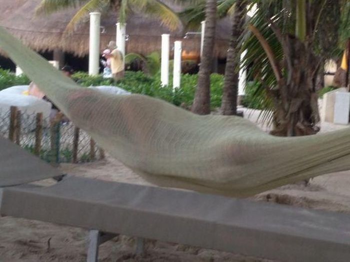 Прикольные картинки (93 фото)