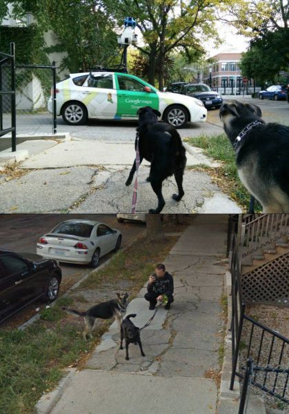 Прикольные картинки (93 фото)