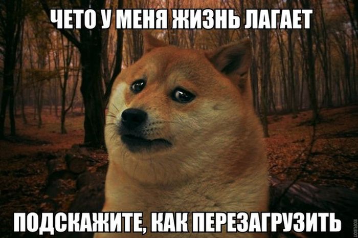 Прикольные картинки (93 фото)