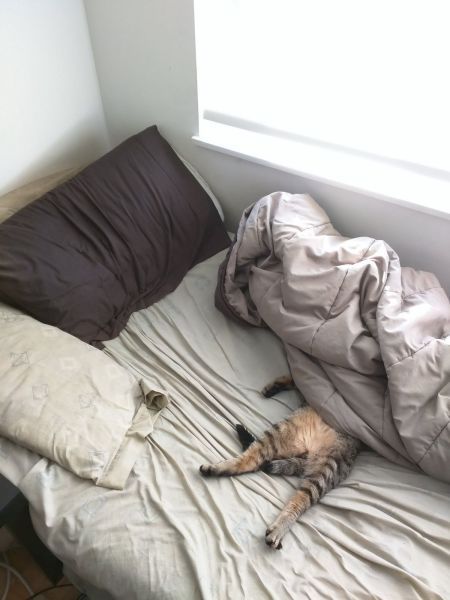 Прикольные картинки (93 фото)