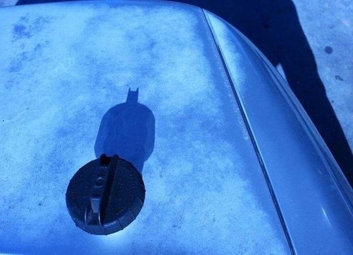 Прикольные картинки (93 фото)