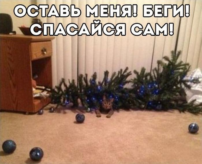 Прикольные картинки (93 фото)