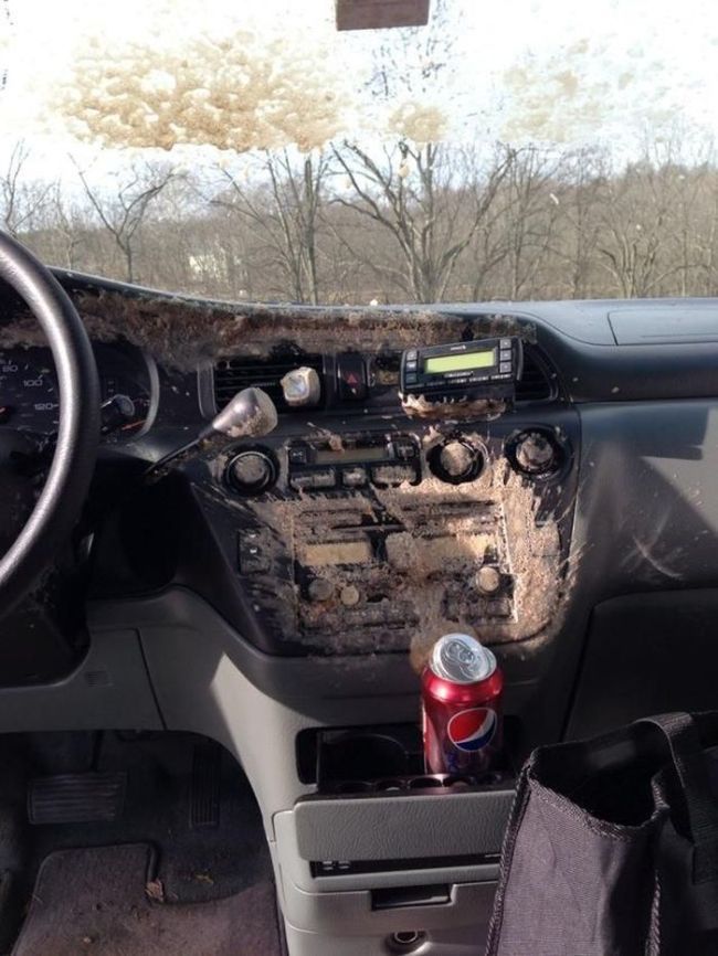 Не оставляйте газировку в машине