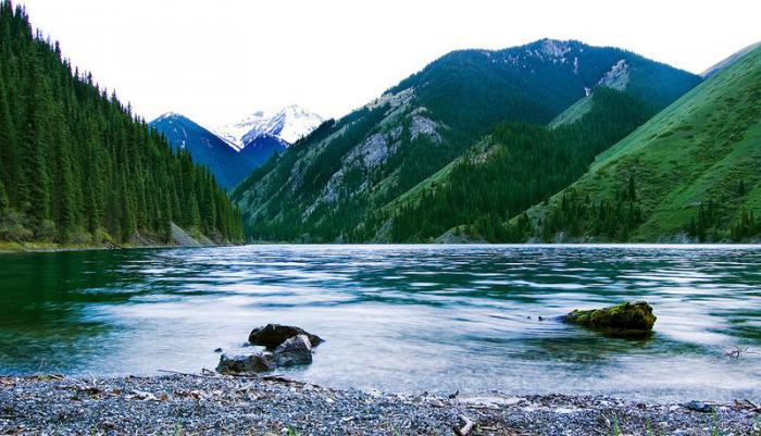 Озеро Каинды - затонувший лес в Казахстане