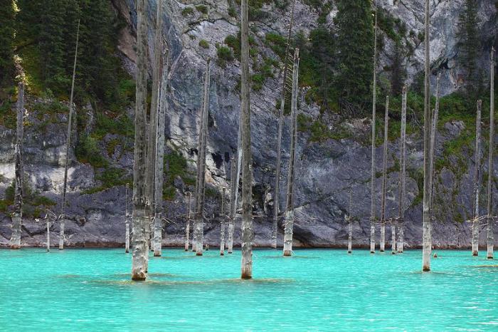 Озеро Каинды - затонувший лес в Казахстане