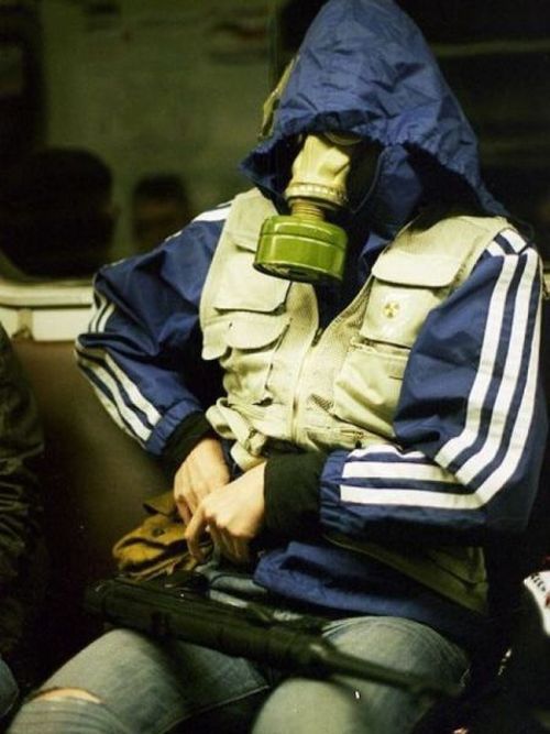 Кого можно встретить в общественном транспорте