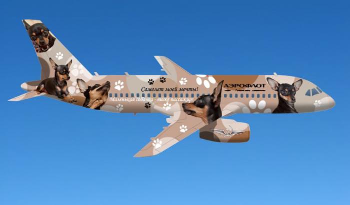 Конкурс на лучшую раскраску самолета