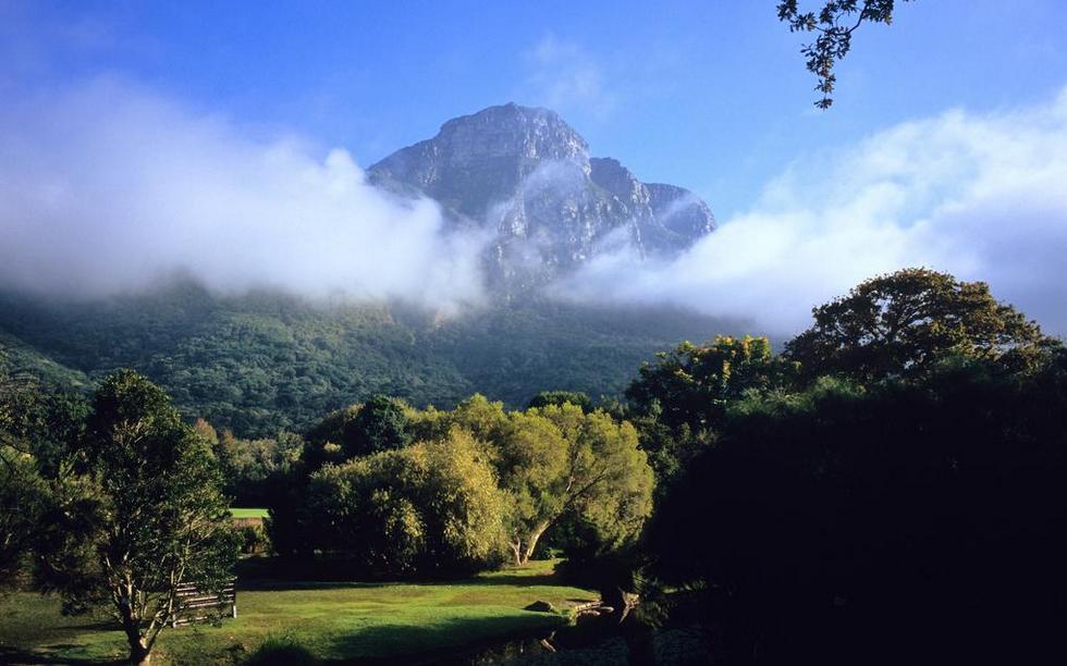 Сад Кирстенбош: уникальное царство флоры