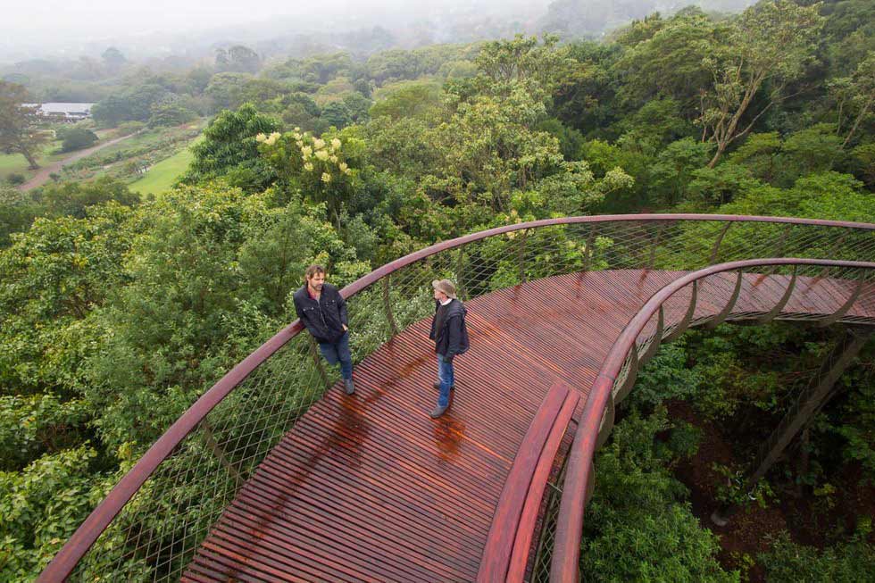 Сад Кирстенбош: уникальное царство флоры