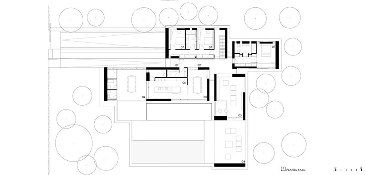 Современный одноэтажный дом в сосновом лесу