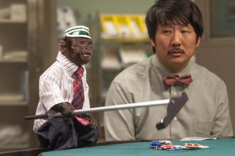 20-летняя обезьянка получила «Оскар» для животных