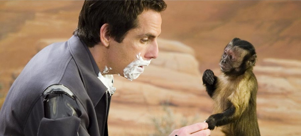 20-летняя обезьянка получила «Оскар» для животных