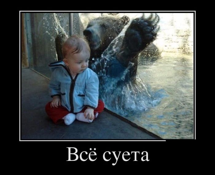 Демотиваторы