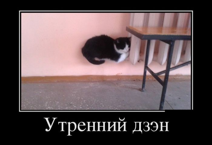 Демотиваторы