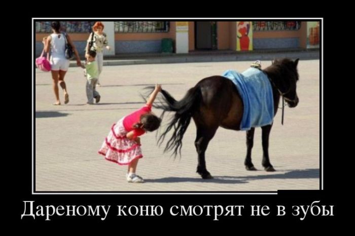 Демотиваторы