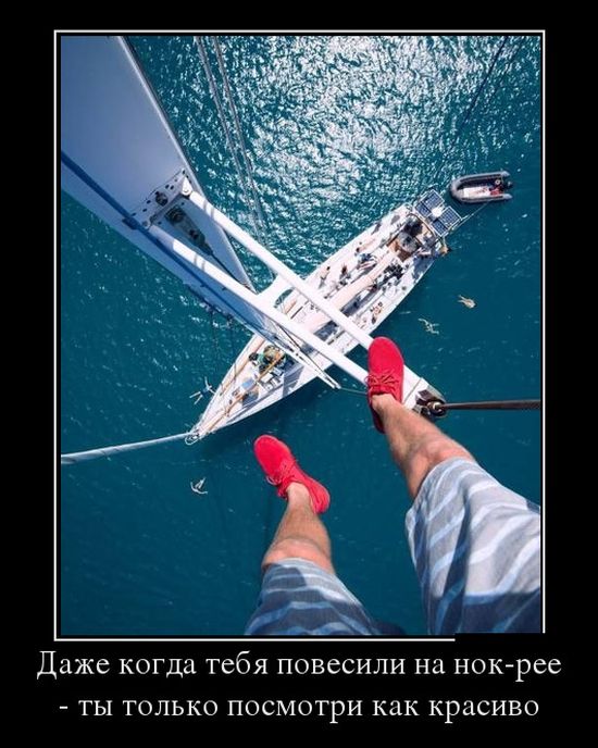 Демотиваторы