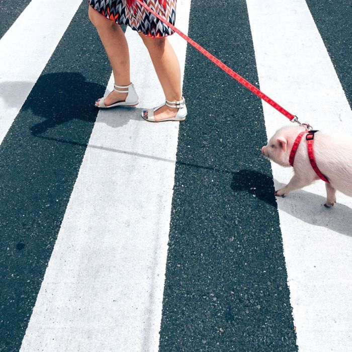 Лучшие работы фотоконкурса Mobile Photography Awards