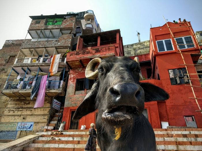 Лучшие работы фотоконкурса Mobile Photography Awards