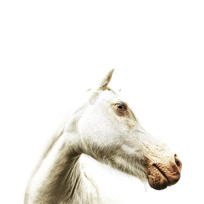 Лучшие работы фотоконкурса Mobile Photography Awards