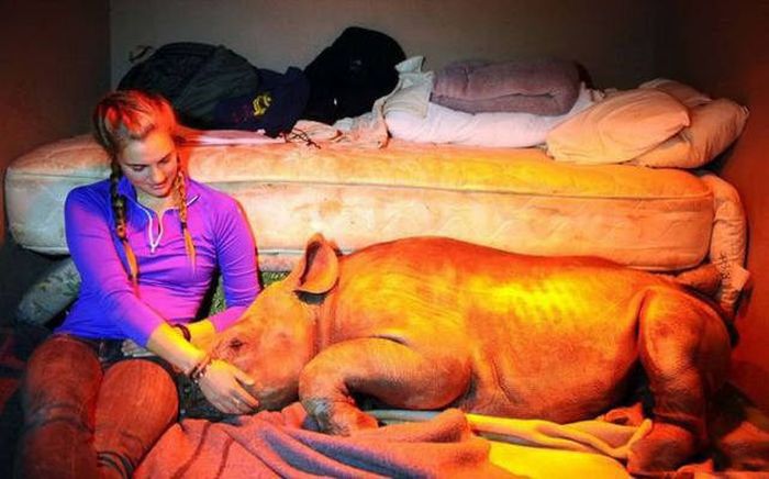 Девушки на любой вкус и цвет