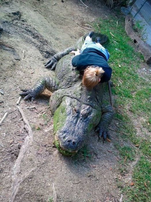 Девушки на любой вкус и цвет