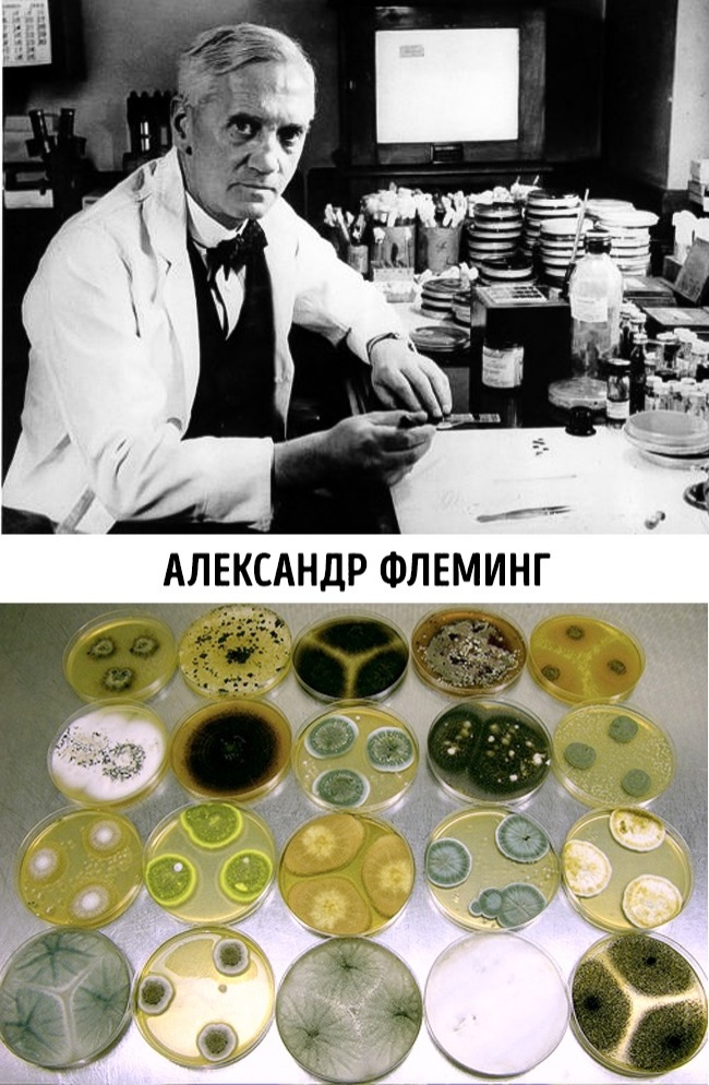 9 нелепых случайностей, которые изменили ход истории 9 нелепых случайностей, которые изменили ход истории