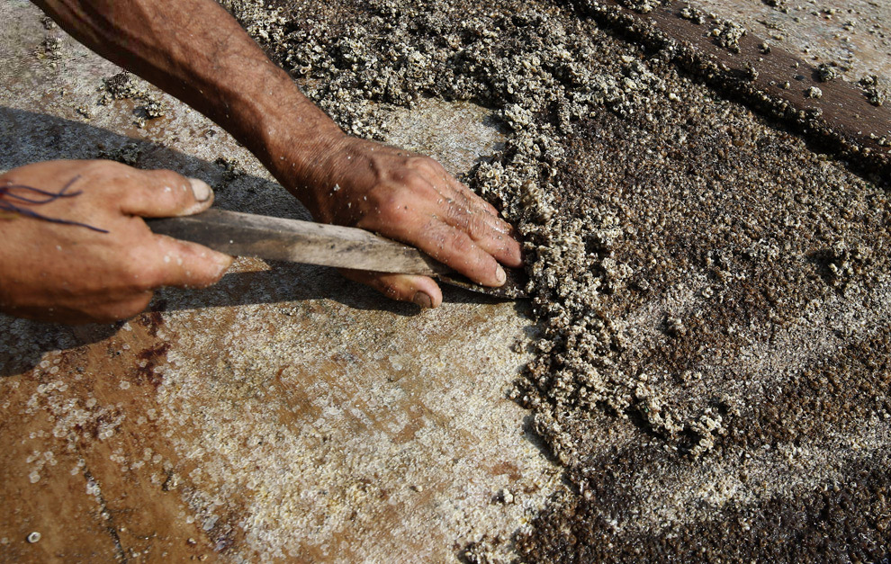 Пляжи Бразилии Пляжи Бразилии