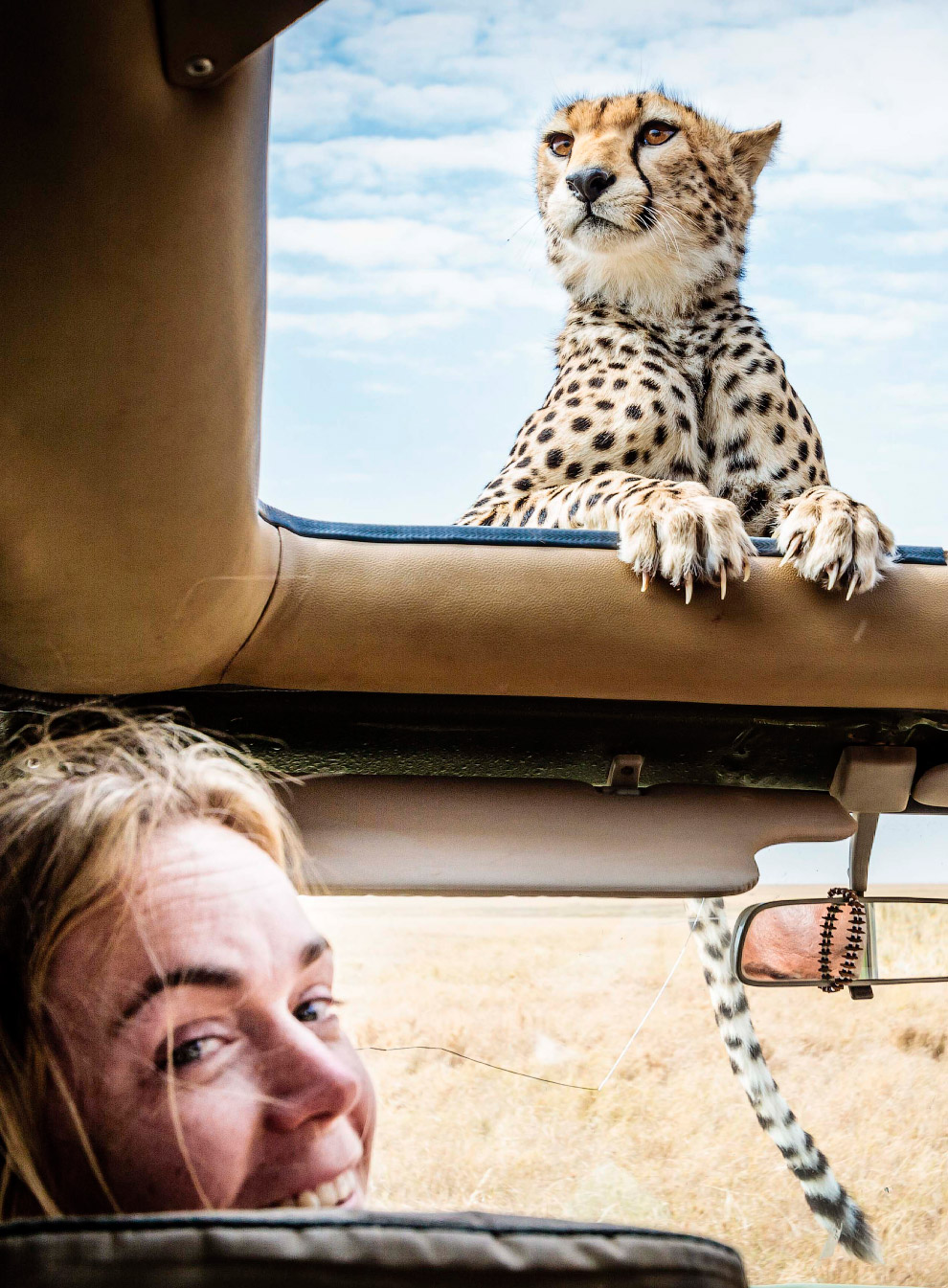 Лицом к лицу с гепардом Лицом к лицу с гепардом