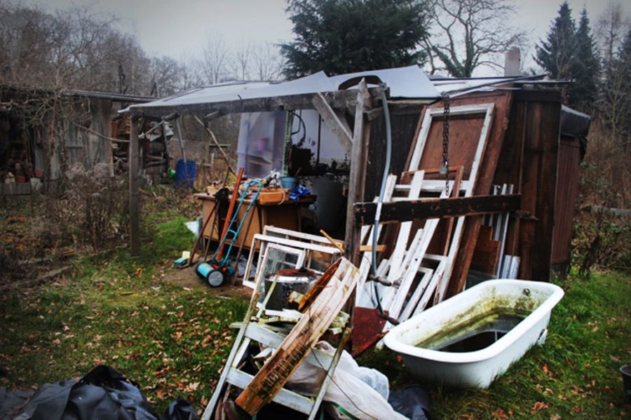 Как жить без денег (6 фото)