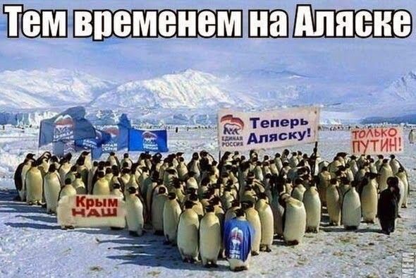 Народные маразмы (35 фото)