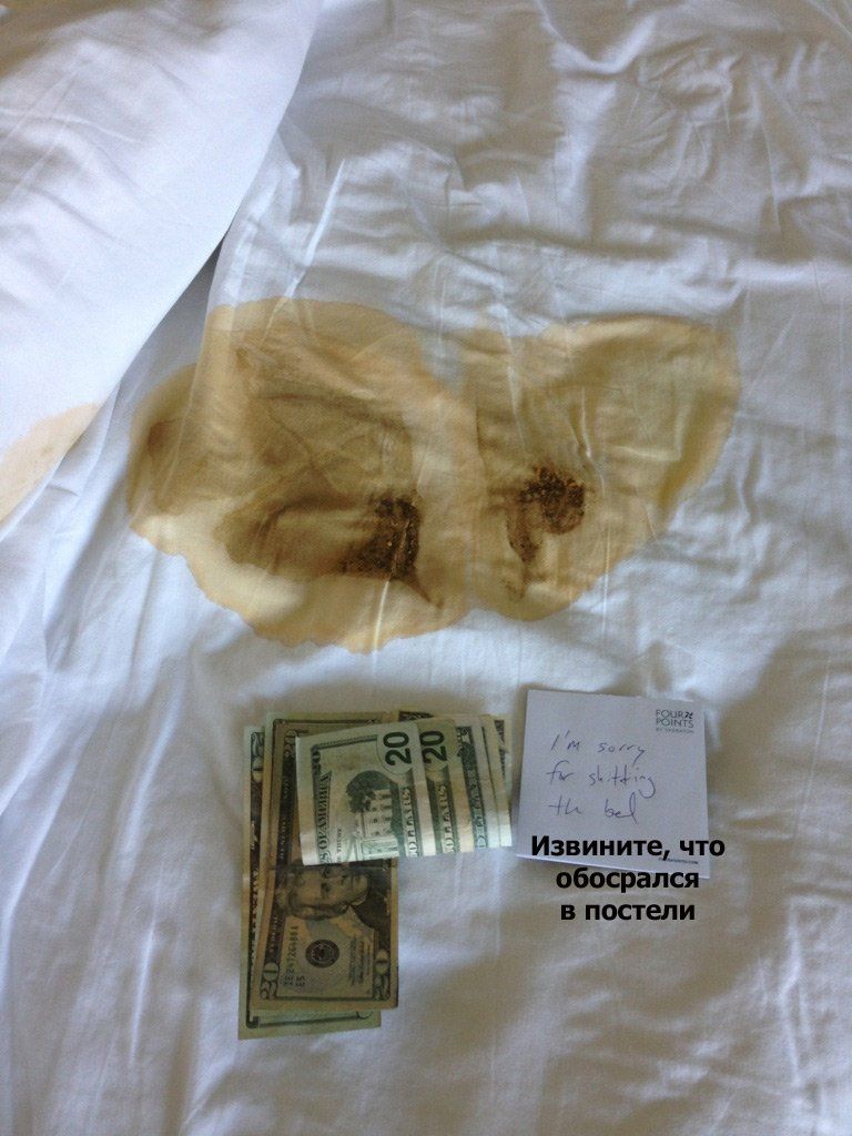 Чаевые для горничной (2 фото)