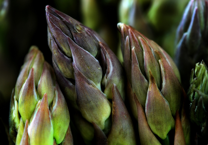 Поразительные факты о Марсе