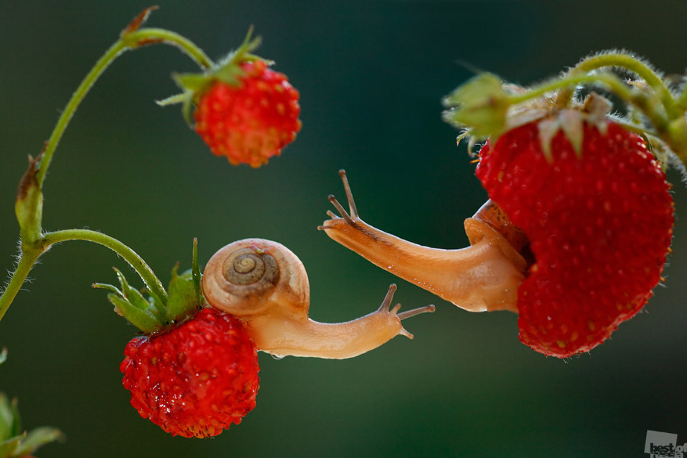 Лучшие фотографии России 2014 года Лучшие фотографии России 2014 года