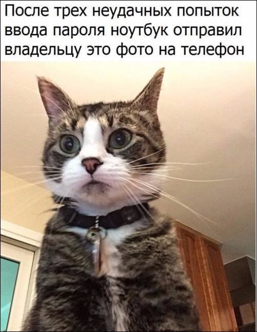 Юмор от пользователей соцсетей