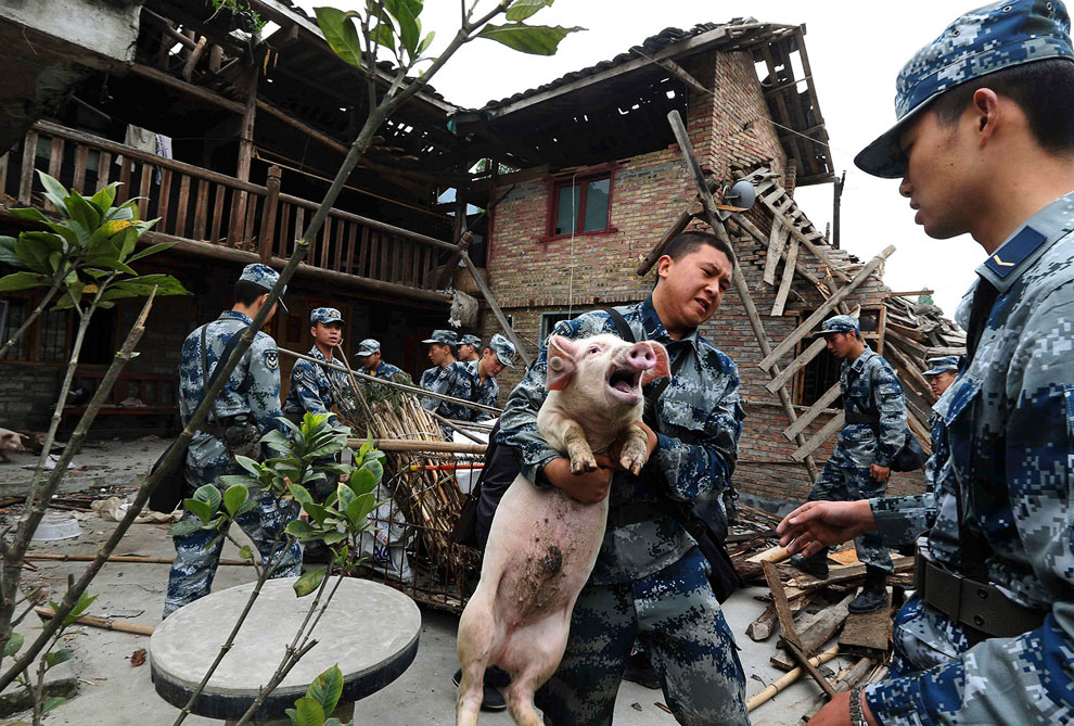 Землетрясение в Китае