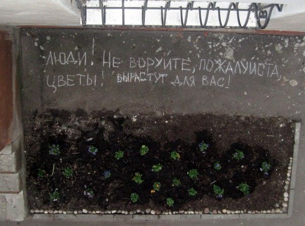 Прикольные картинки