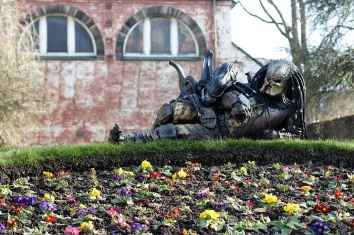 Прикольные картинки