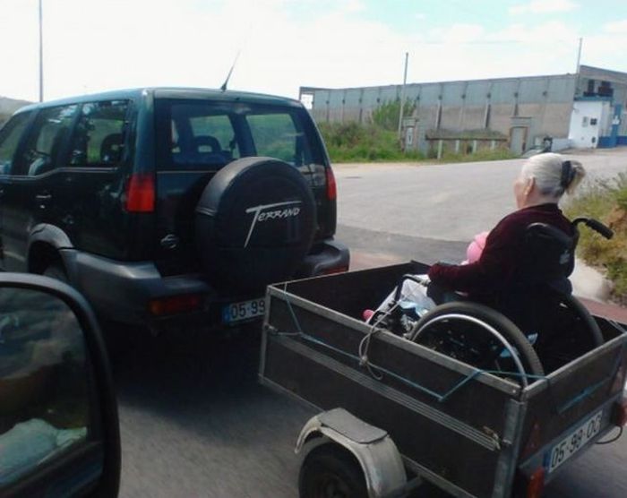 Прикольные картинки