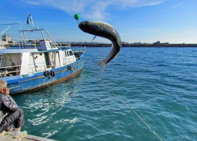 Прикольные картинки