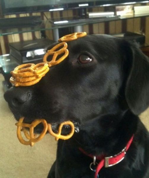 Прикольные картинки