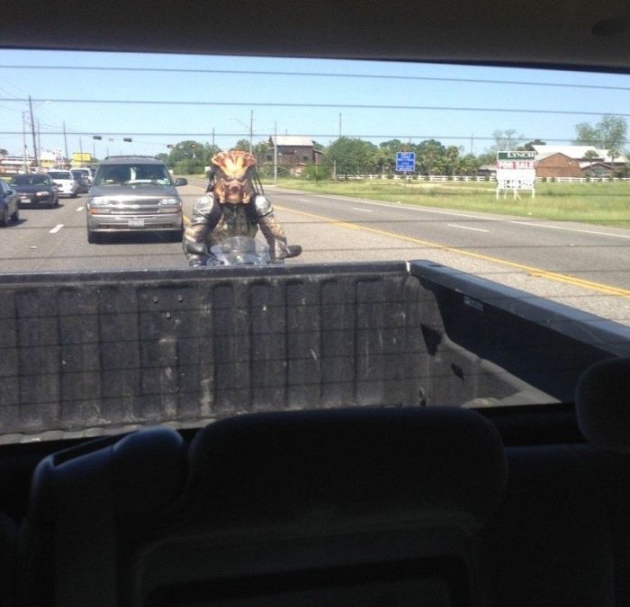 Авто-юмор. Часть 16 (38 фото)