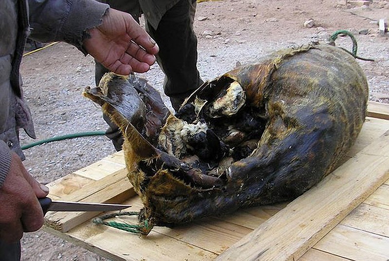 10 опасных продуктов